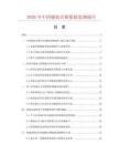 2026年中国辅助音箱数据监测报告.docx