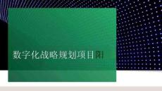 数字化战略规划项目