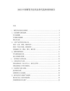 2025中国硬笔书法用品替代趋势调查报告.docx