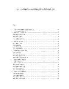 2025中国粉笔企业品牌建设与营销战略分析.docx
