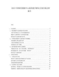 2025中国绿色数据中心能效提升解决方案市场分析报告.docx