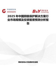 2025年中国阴极保护解决方案行业市场规模及投资前景预测分析报告