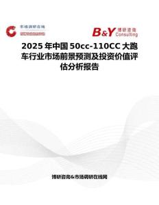 2025年中国50cc-110CC大跑车行业市场前景预测及投资价值评估分析报告
