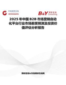 2025年中国B2B市场营销自动化平台行业市场前景预测及投资价值评估分析报告