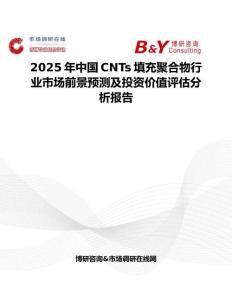 2025年中国CNTs填充聚合物行业市场前景预测及投资价值评估分析报告