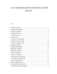 2025中国陶瓷膜水处理项目投资回收期与运营维护成本分析.docx