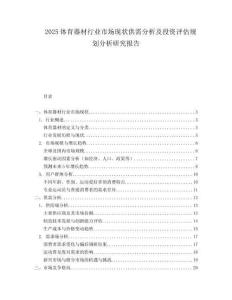 2025体育器材行业市场现状供需分析及投资评估规划分析研究报告.docx