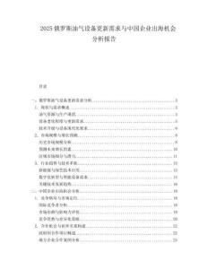 2025俄罗斯油气设备更新需求与中国企业出海机会分析报告.docx