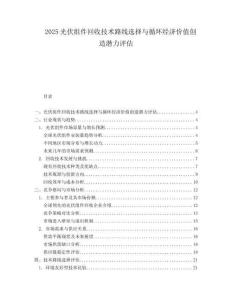 2025光伏组件回收技术路线选择与循环经济价值创造潜力评估.docx