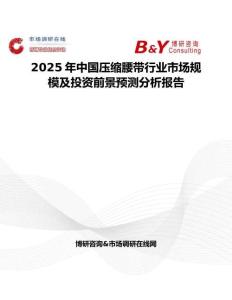 2025年中国压缩腰带行业市场规模及投资前景预测分析报告
