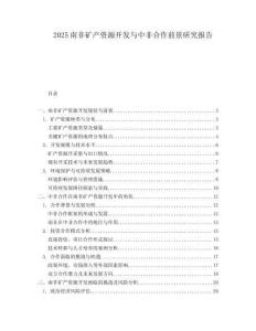 2025南非矿产资源开发与中非合作前景研究报告.docx