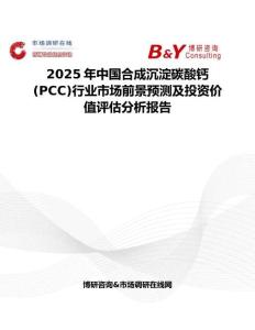 2025年中国合成沉淀碳酸钙 (PCC)行业市场前景预测及投资价值评估分析报告