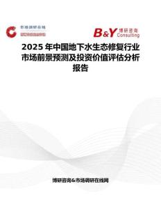 2025年中国地下水生态修复行业市场前景预测及投资价值评估分析报告