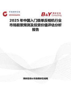 2025年中国入门级单反相机行业市场前景预测及投资价值评估分析报告