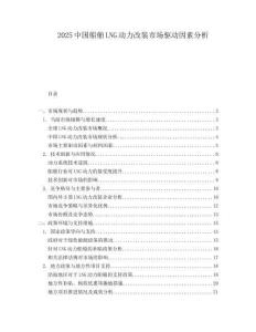 2025中国船舶LNG动力改装市场驱动因素分析.docx
