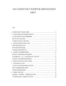 2025光伏组件回收产业政策环境与循环经济价值评估报告.docx