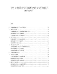2025全球碳捕集与封存技术发展动态与市场投资机会评估报告.docx