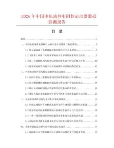 2026年中国电机液体电阻软启动器数据监测报告.docx