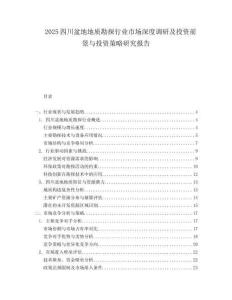 2025四川盆地地质勘探行业市场深度调研及投资前景与投资策略研究报告.docx