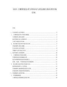 2025土壤修复技术专利布局与重金属污染治理市场空间.docx