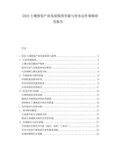 2025土壤修复产业发展瓶颈突破与资本运作策略研究报告.docx