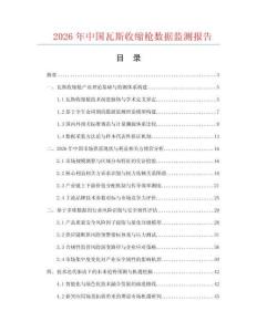 2026年中国瓦斯收缩枪数据监测报告.docx