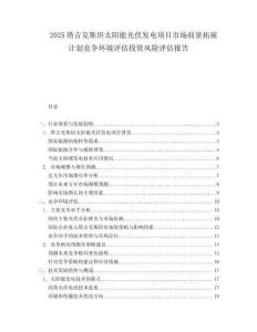 2025塔吉克斯坦太阳能光伏发电项目市场前景拓展计划竞争环境评估投资风险评估报告.docx