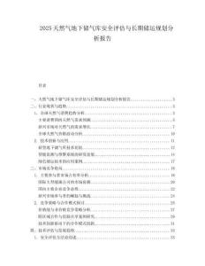 2025天然气地下储气库安全评估与长期储运规划分析报告.docx