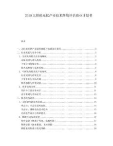 2025太阳能光伏产业技术路线评估商业计划书.docx