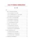 2026年中国接电片数据监测报告.docx