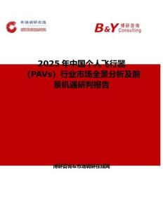 2025年中国个人飞行器（PAVs）行业市场全景分析及前景机遇研判报告