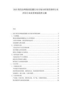 2025奥美拉唑肠溶胶囊行业市场分析现状调研行业评估行业前景规划趋势文献.docx