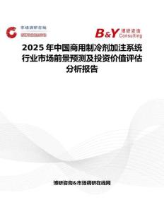 2025年中国商用制冷剂加注系统行业市场前景预测及投资价值评估分析报告