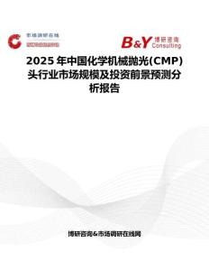 2025年中国化学机械抛光(CMP)头行业市场规模及投资前景预测分析报告