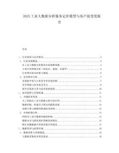 2025工业大数据分析服务定价模型与客户接受度报告.docx