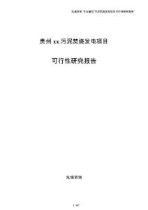 贵州xx污泥焚烧发电项目可行性研究报告范文