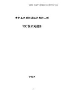 贵州某大型河道防洪整治工程可行性研究报告