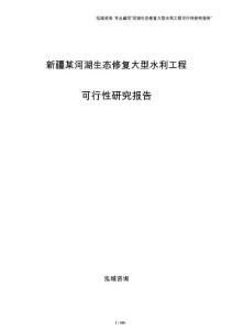 新疆某河湖生态修复大型水利工程可行性研究报告（参考）