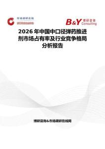 2026年中国中口径弹药推进剂市场占有率及行业竞争格局分析报告