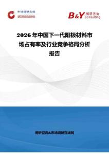 2026年中国下一代阳极材料市场占有率及行业竞争格局分析报告