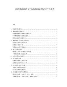 2025精酿啤酒DIY体验馆商业模式可行性报告.docx