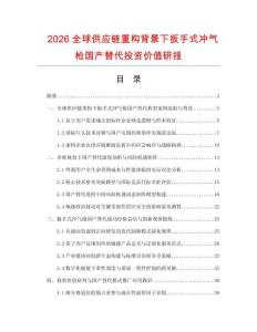 2026全球供应链重构背景下扳手式冲气枪国产替代投资价值研报.docx