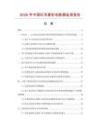 2026年中国红双喜彩电数据监测报告.docx