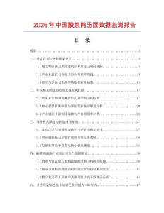2026年中国酸菜鸭汤面数据监测报告.docx