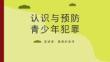 预防未成年犯罪主题班会PPT