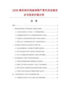 2026锥形阀芯阀座阀国产替代供应链安全与投资价值分析.docx