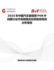 2025年中国汽车玻璃用PVB中间膜行业市场规模及投资前景预测分析报告