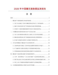 2026年中国雕花凿数据监测报告.docx