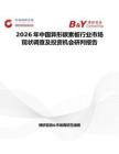 2026年中国异形碳素板行业市场现状调查及投资机会研判报告
