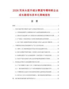 2026双呆头扳手细分赛道专精特新企业成长路径与资本化策略报告.docx